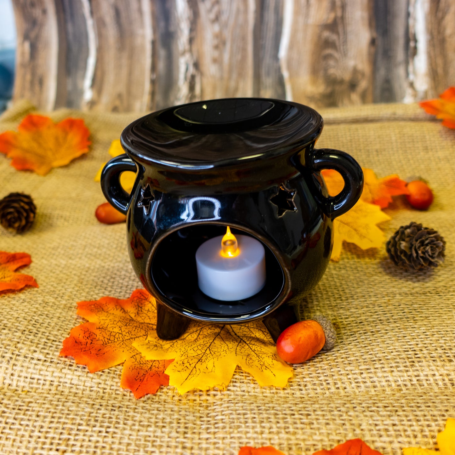 Cauldron Wax Melter