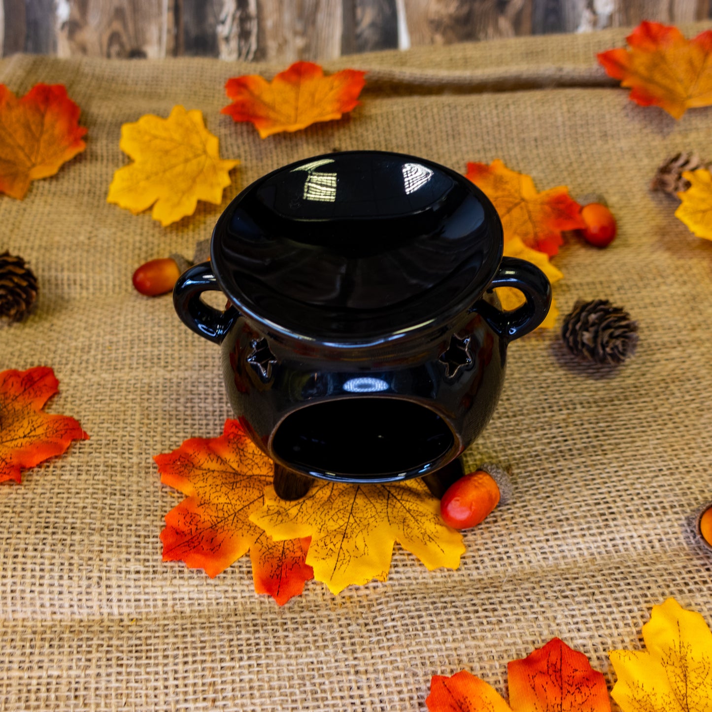 Cauldron Wax Melter