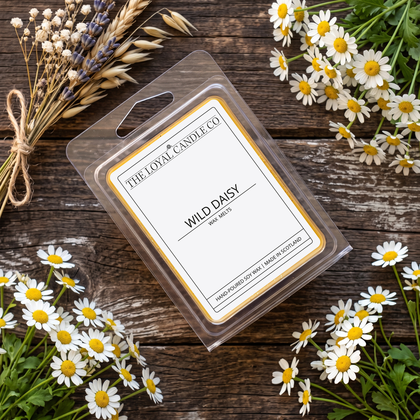 Wild Daisy wax melt clamshell with dried flowers on a dark wood background.