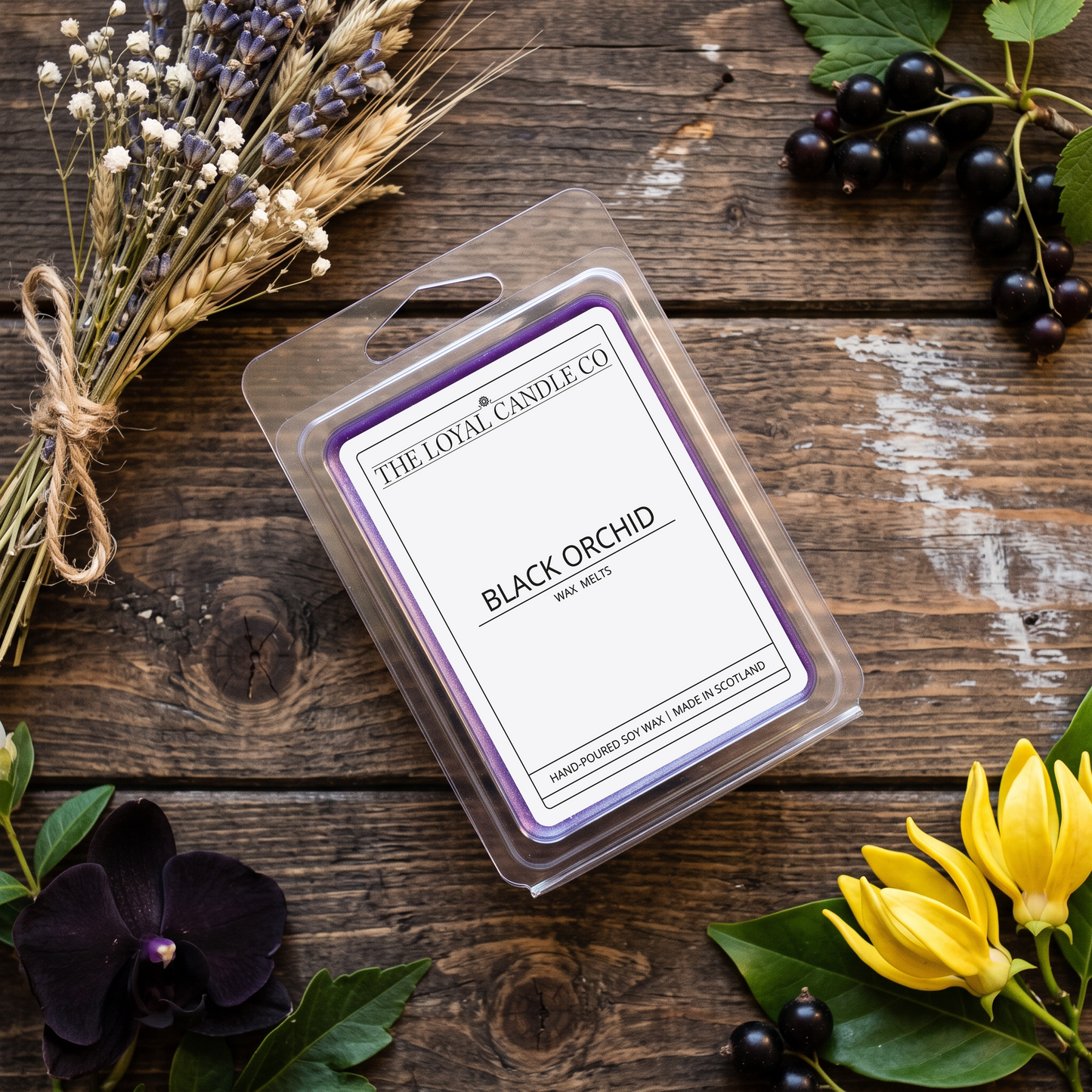 Black Orchid wax melt clamshell on a dark wood background.