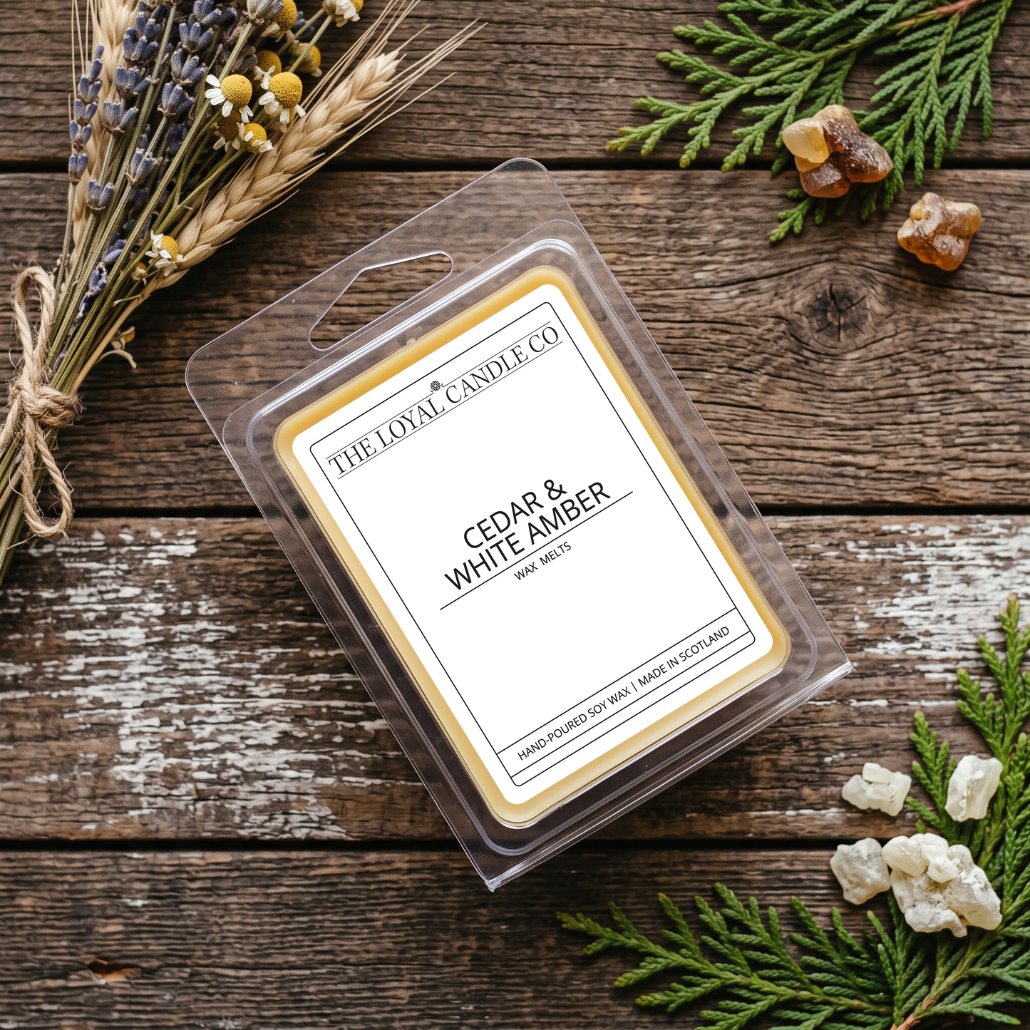 Cedar & White Amber wax melt clamshell on a dark wood background