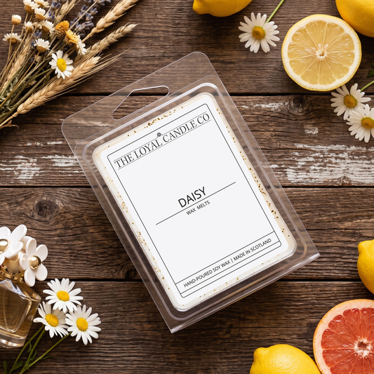 Daisy wax melt clamshell with dried flowers on a dark wood background