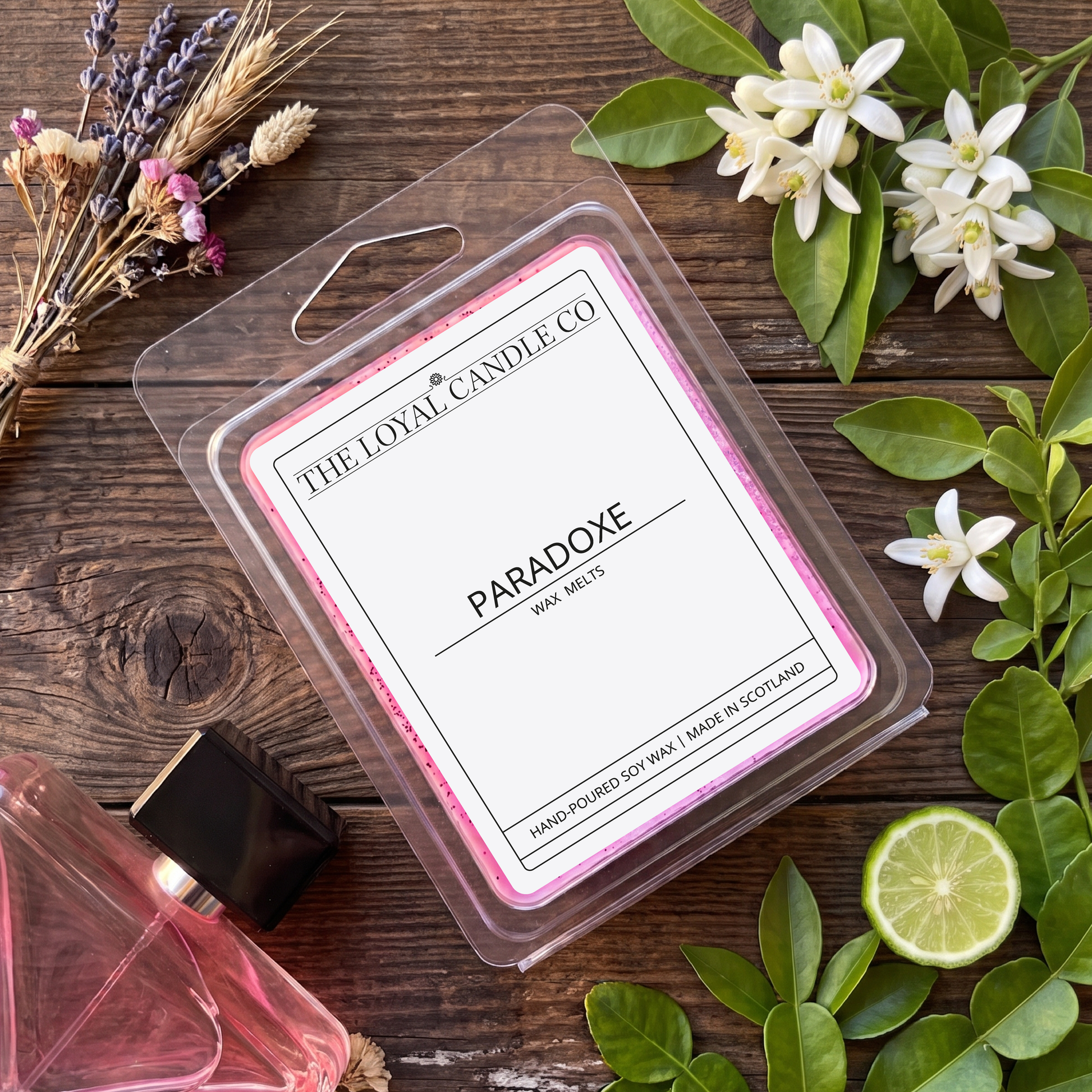 Paradoxe wax melt clamshell on a dark wood background.