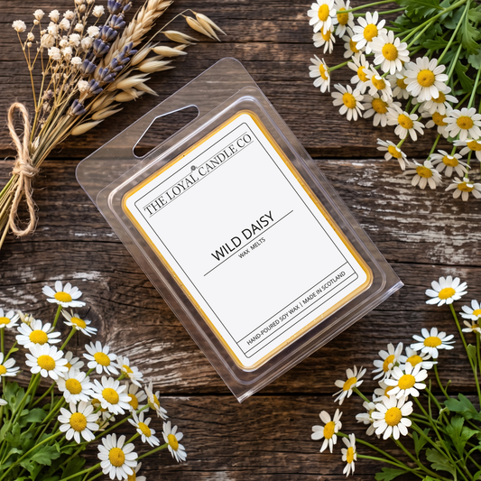 Wild Daisy wax melt clamshell with dried flowers on a dark wood background.